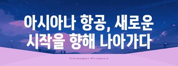 아시아나 항공 관련 |