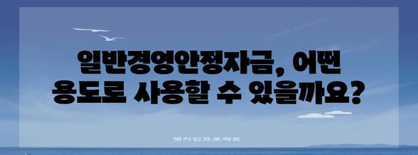 정부 정책자금 활용 가이드 | 일반경영안정자금