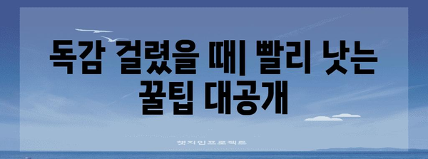 독감 퇴치 가이드 | 증상, 예방법, 빠른 완치 팁