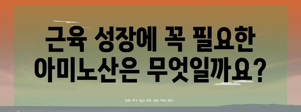 근육 성장 필수 아미노산 영양소 가이드