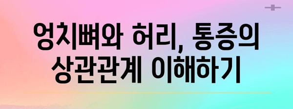 엉치뼈와 허리 통증의 상관관계 파악 | 위치파악과 통증 정확히 찾기