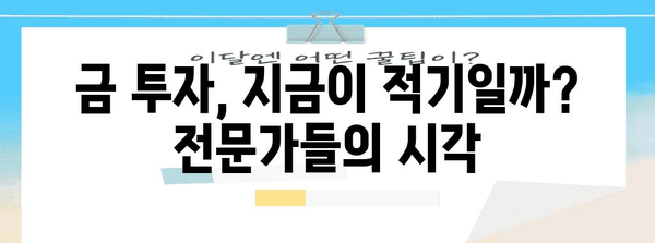 금값 폭등 | 투자 기회 vs 위험성 탐구