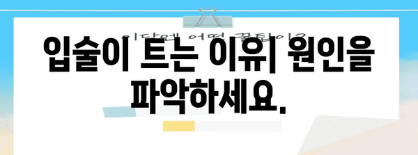 입술 부르틈 완벽 가이드 | 원인, 해결책, 건강한 관리 방법