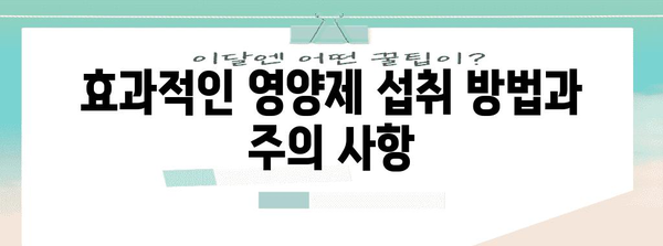 치아 건강 향상을 위한 영양제 가이드