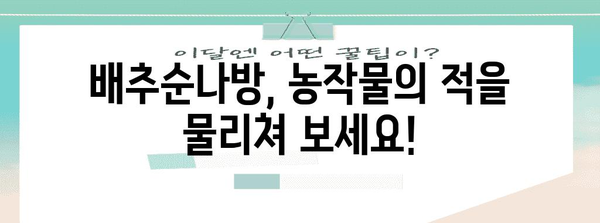 배추순나방 박멸 가이드| 천연 해충 방제법부터 효과적인 살충제까지 | 배추, 무, 농작물, 해충 방제