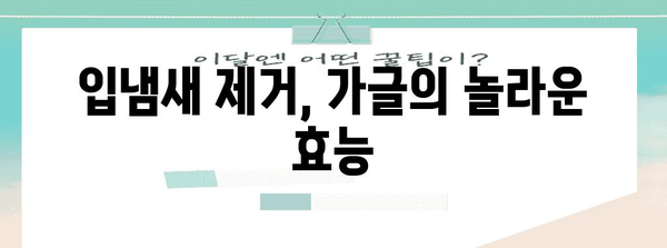 입냄새 제거의 간편한 비결 | 가글로 해결하세요