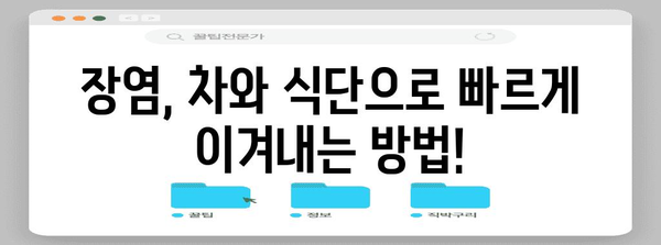 장염 차 필수 식단 팁 | 건강을 회복하는 레시피와 가이드