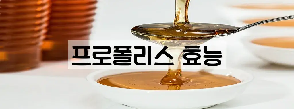 프로폴리스 효능