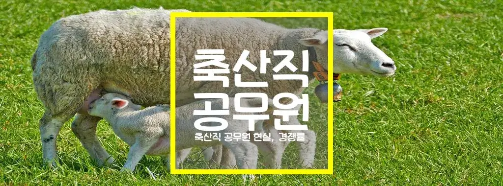 축산직 공무원 현실